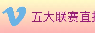 五大联赛直播 logo